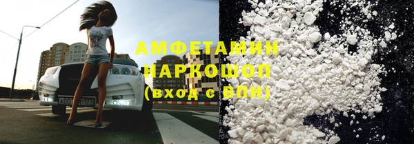 молекула духа Богданович