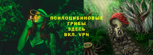 тгк Аркадак
