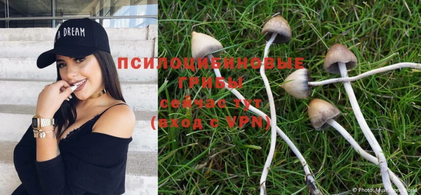 тгк Аркадак